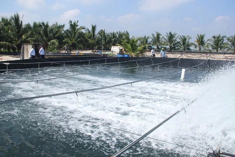 Sức hút từ “Vườn đẹp, trang trại hiệu quả”