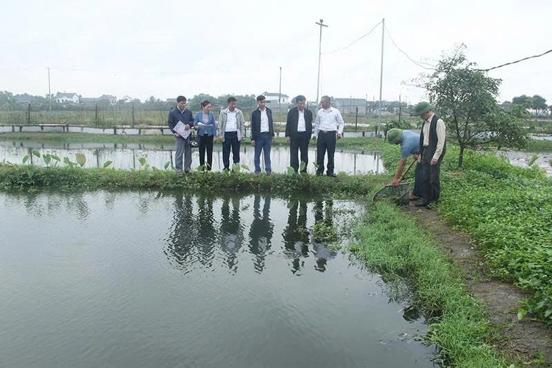 Sức hút từ “Vườn đẹp, trang trại hiệu quả”