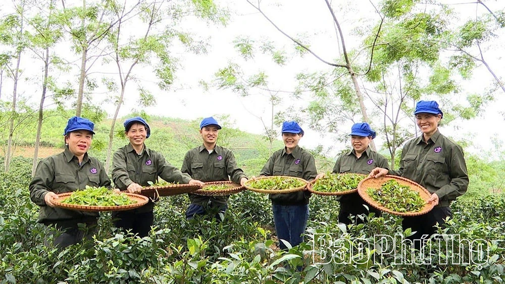Membangunkan produk OCOP mewujudkan mata pencarian yang mampan untuk pekerja luar bandar