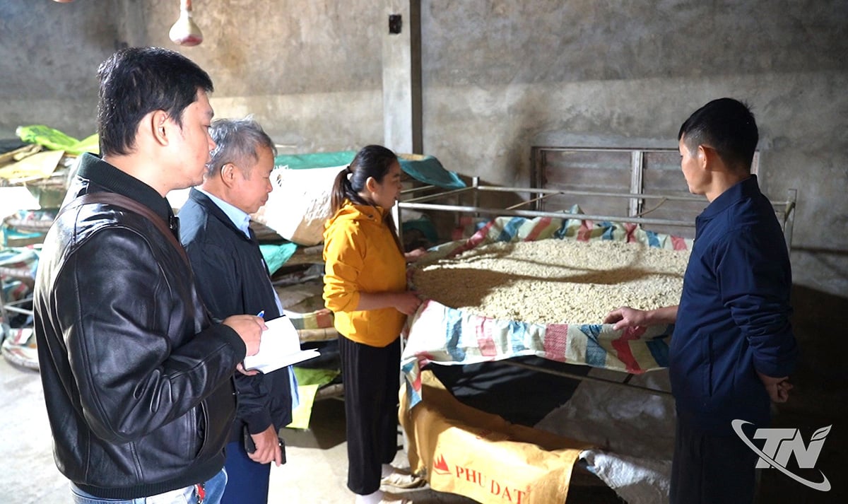 Australští producenti sójové omáčky rychle překonali následky a po povodni se vrátili k výrobě.