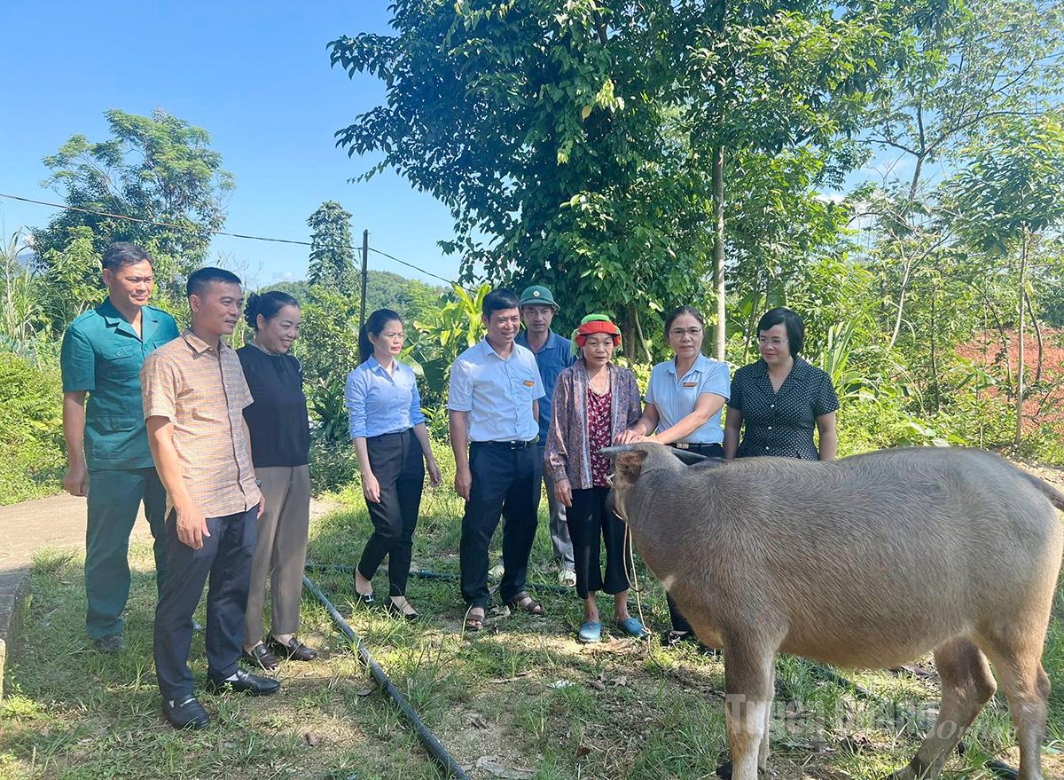 비엣람 공동체는 소득 기준을 개선하기 위해 가난한 가구에 번식용 물소를 제공합니다.