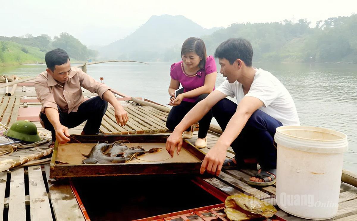 타이 호아 공동체 사람들은 로 강에서 양식장 개발에 집중하고 있습니다.
