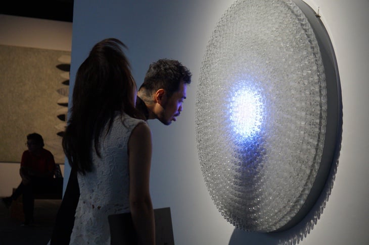 Chuyện đám bèo hoa dâu Việt Nam được Phạm Tuân mang lên vũ trụ bước vào tác phẩm nghệ thuật - Ảnh 2.