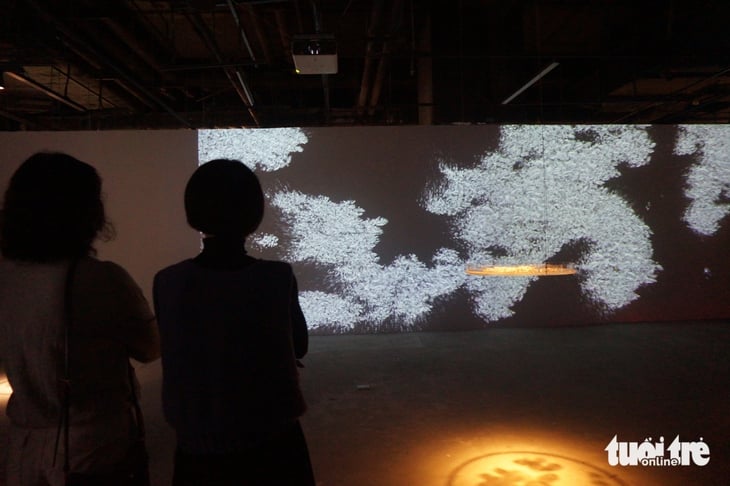 bèo hoa dâu - Ảnh 5.