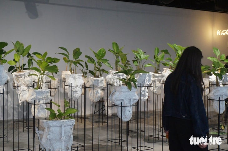 Chuyện đám bèo hoa dâu Việt Nam được Phạm Tuân mang lên vũ trụ bước vào tác phẩm nghệ thuật - Ảnh 6.