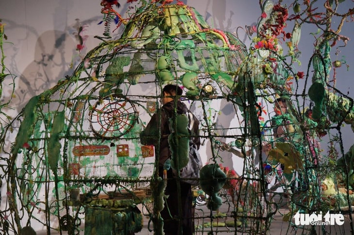 bèo hoa dâu - Ảnh 8.