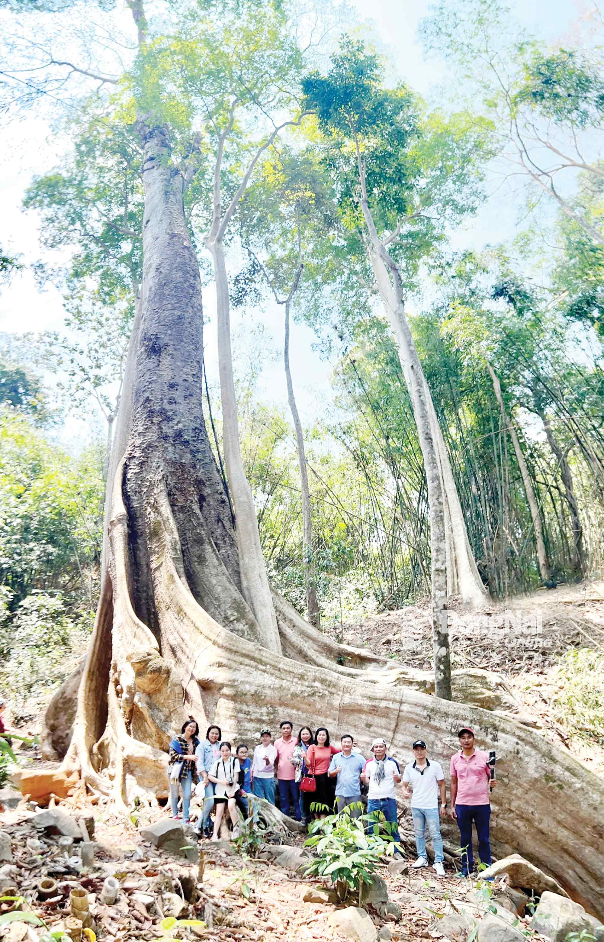Du lịch Đồng Nai trong hành trình định vị thương hiệu du lịch xanh, bền vững - Ảnh 2.