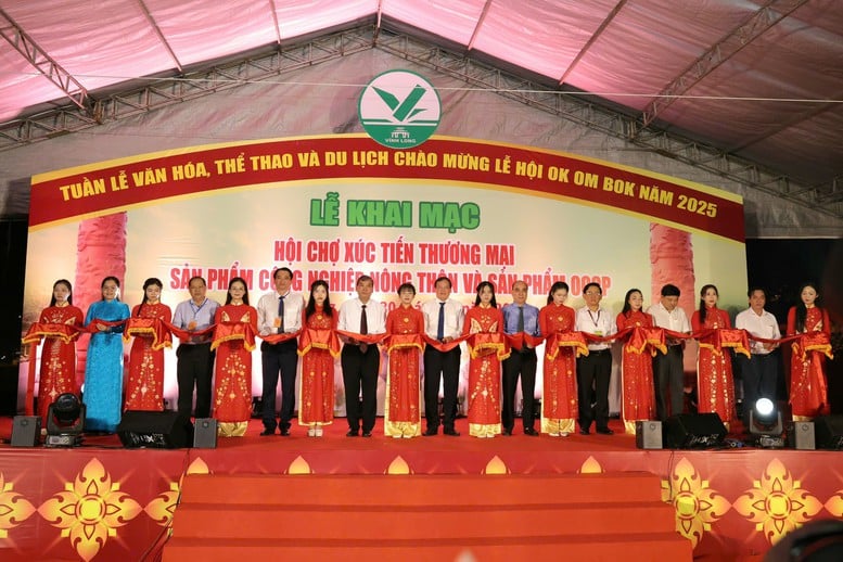 Vĩnh Long hút mạnh dòng vốn mới, kinh tế chuyển động tích cực- Ảnh 1.