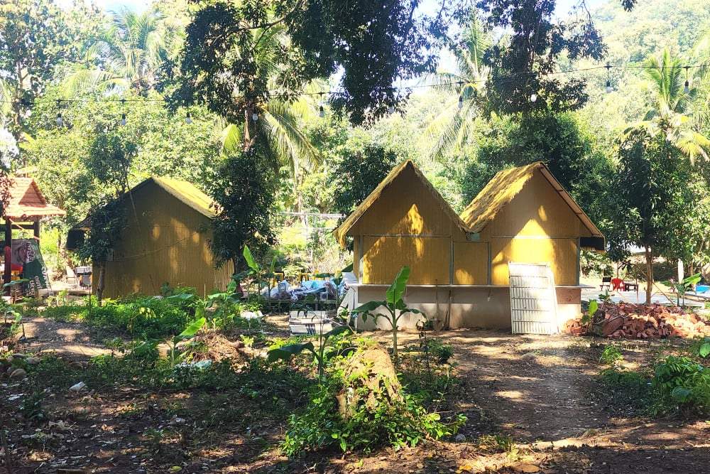 Những căn nhà được xây dựng theo kiểu bungalow trên đất lâm nghiệp