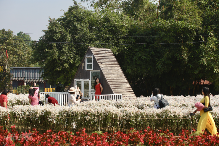 Sezonul margaretelor, plaja stâncoasă Red River plină de vizitatori care se înregistrează - 1