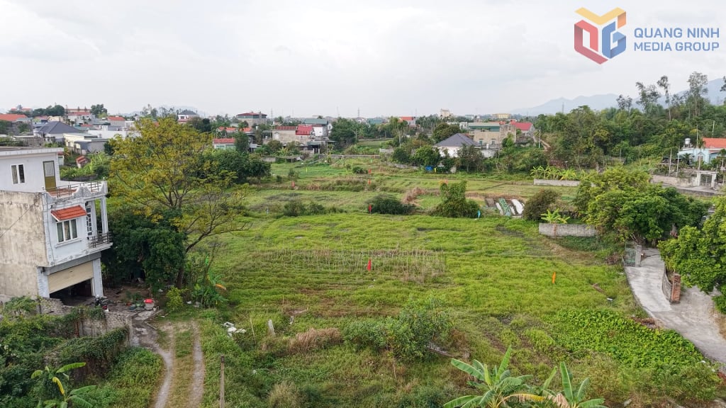 Platsplanen för genomförandet av vägbyggnadsprojektet QH11 (sträckan som förbinder Yen Trung-vägen med Yen Tu-vägen) har en längd på 2,74 km.