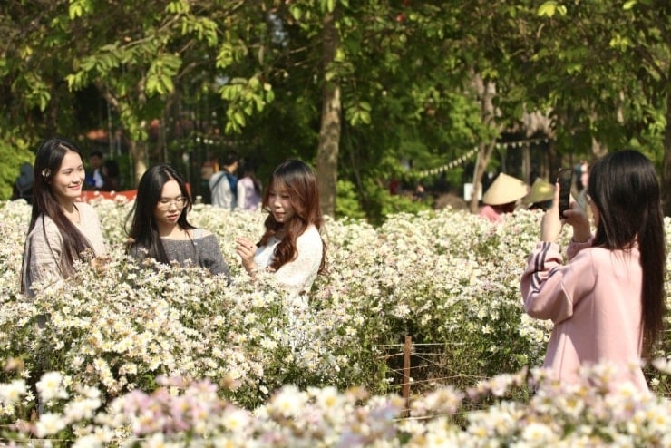 ລະດູ Daisy, ຫາດຫີນ Red River ທີ່ເຕັມໄປດ້ວຍນັກທ່ອງທ່ຽວເຊັກອິນ - 5