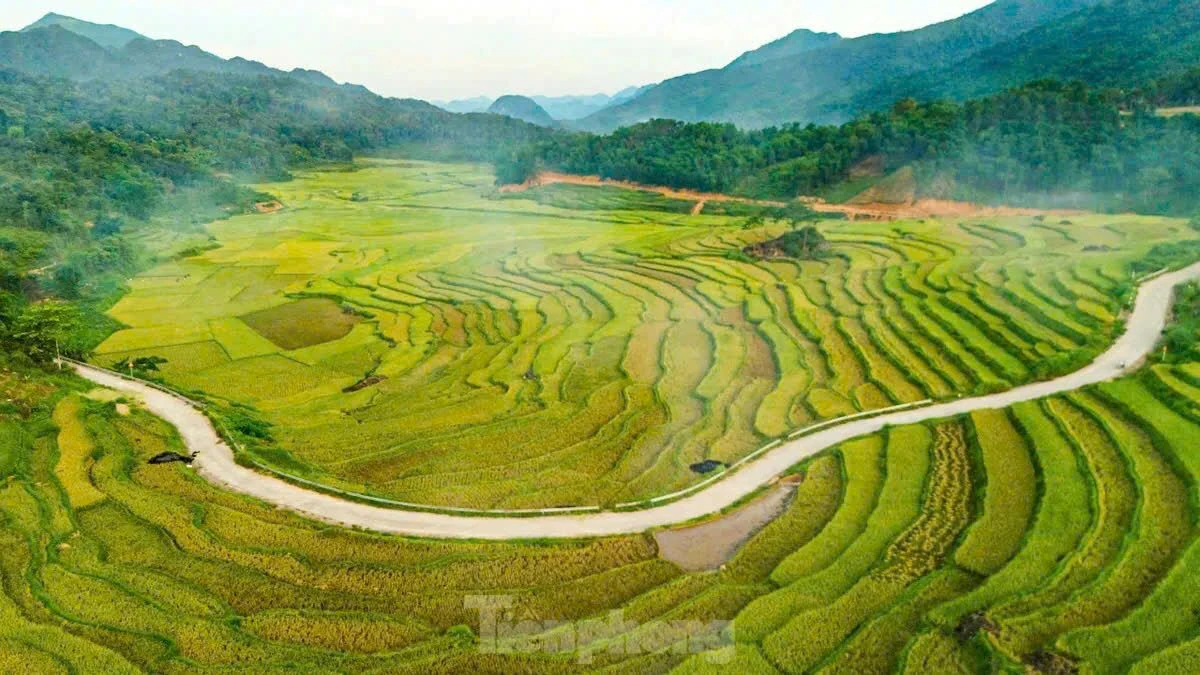 Thanh Hoa'da toplumsal turizmin geliştirilmesinde Vietnam Anavatan Cephesi ve sosyo-politik örgütlerin rolünün teşvik edilmesi