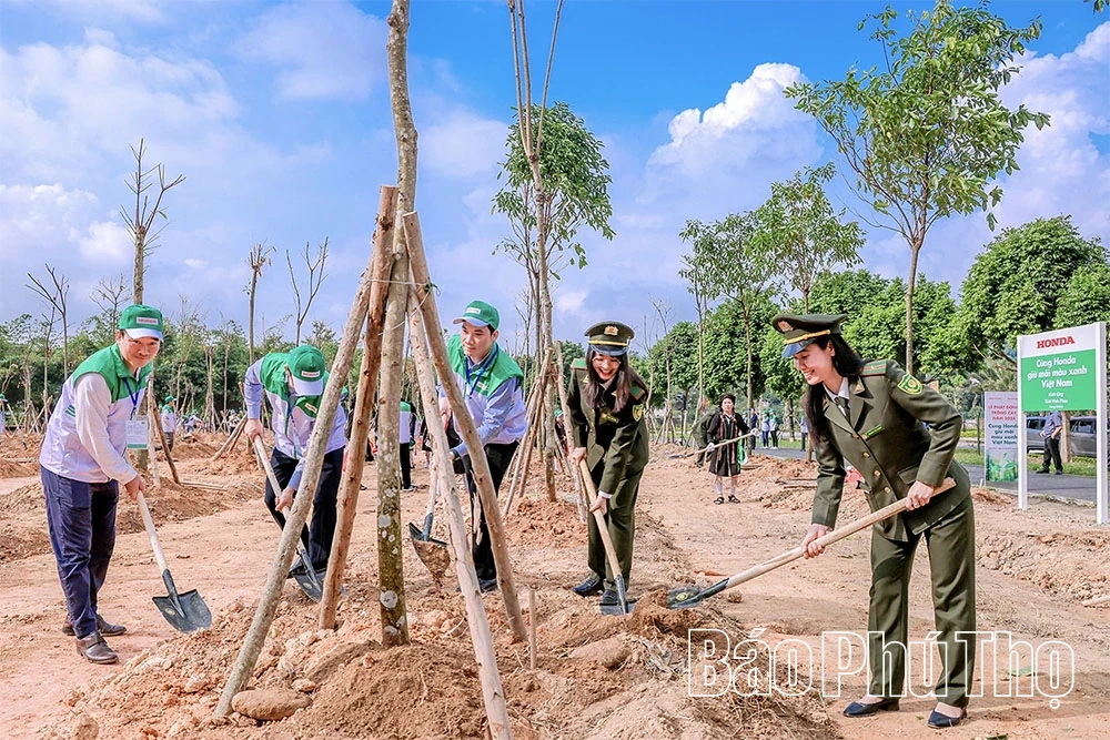 Phu Tho - „slibná země“ přitahující japonské podniky