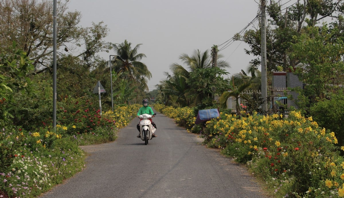 Od 6. do 10. prosince bude mírně chladno až chladno, lidé by si měli dávat pozor na udržování tepla, aby si chránili své zdraví. (ilustrační foto)