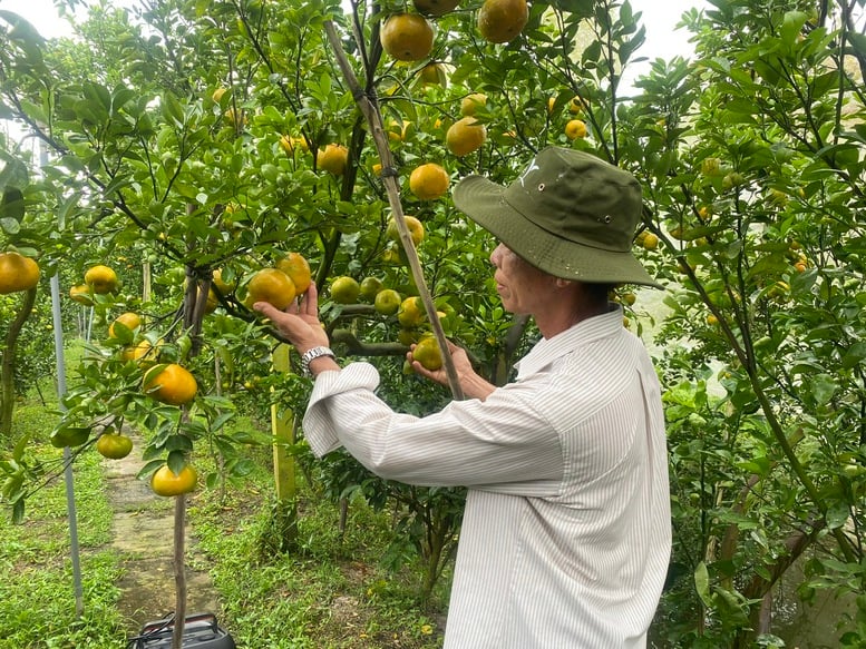 11 tháng, xuất khẩu nông, lâm, thủy sản vượt kỷ lục năm 2024- Ảnh 1.