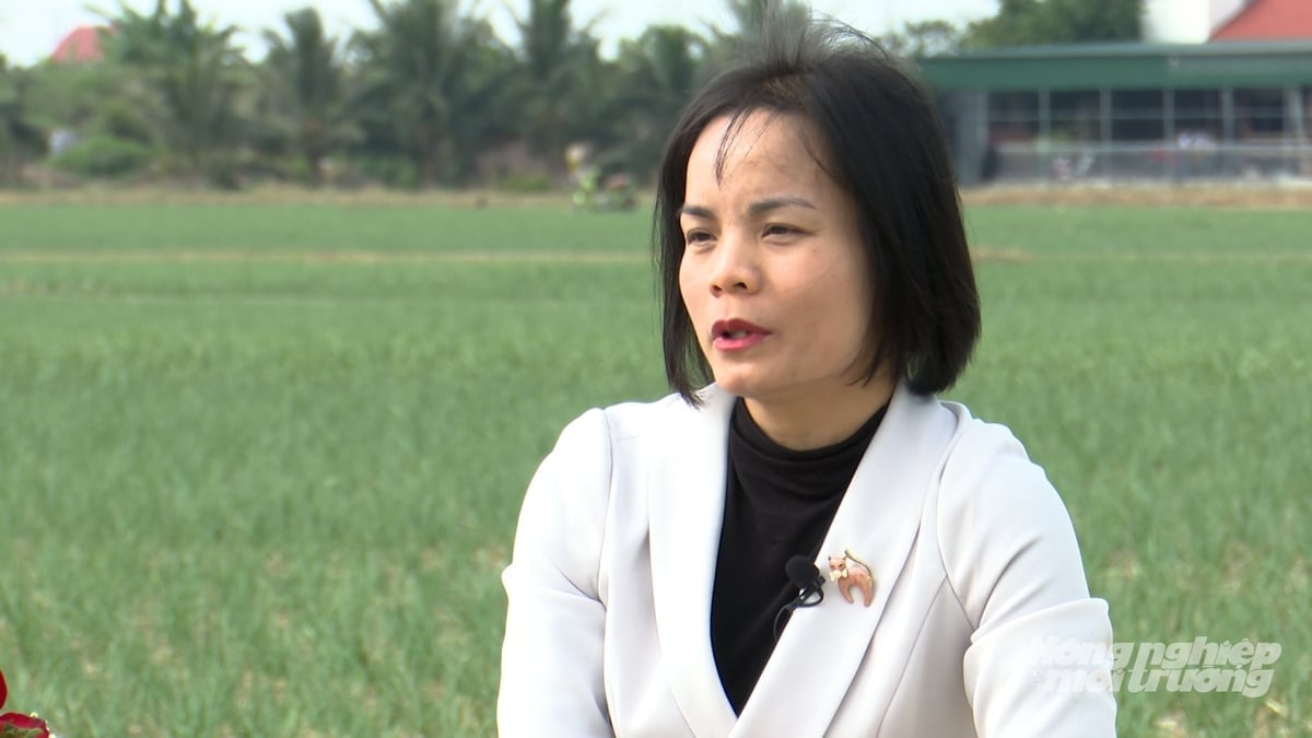 Frau Nguyen Thi Thanh Nhan, stellvertretende Vorsitzende des Volkskomitees der Kommune Nam An Phu (Stadt Hai Phong). Foto: Quang Dung.