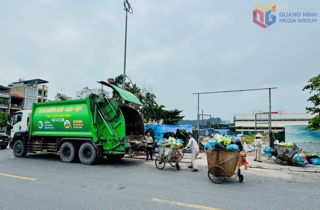 Сбор мусора в районе Халонг.