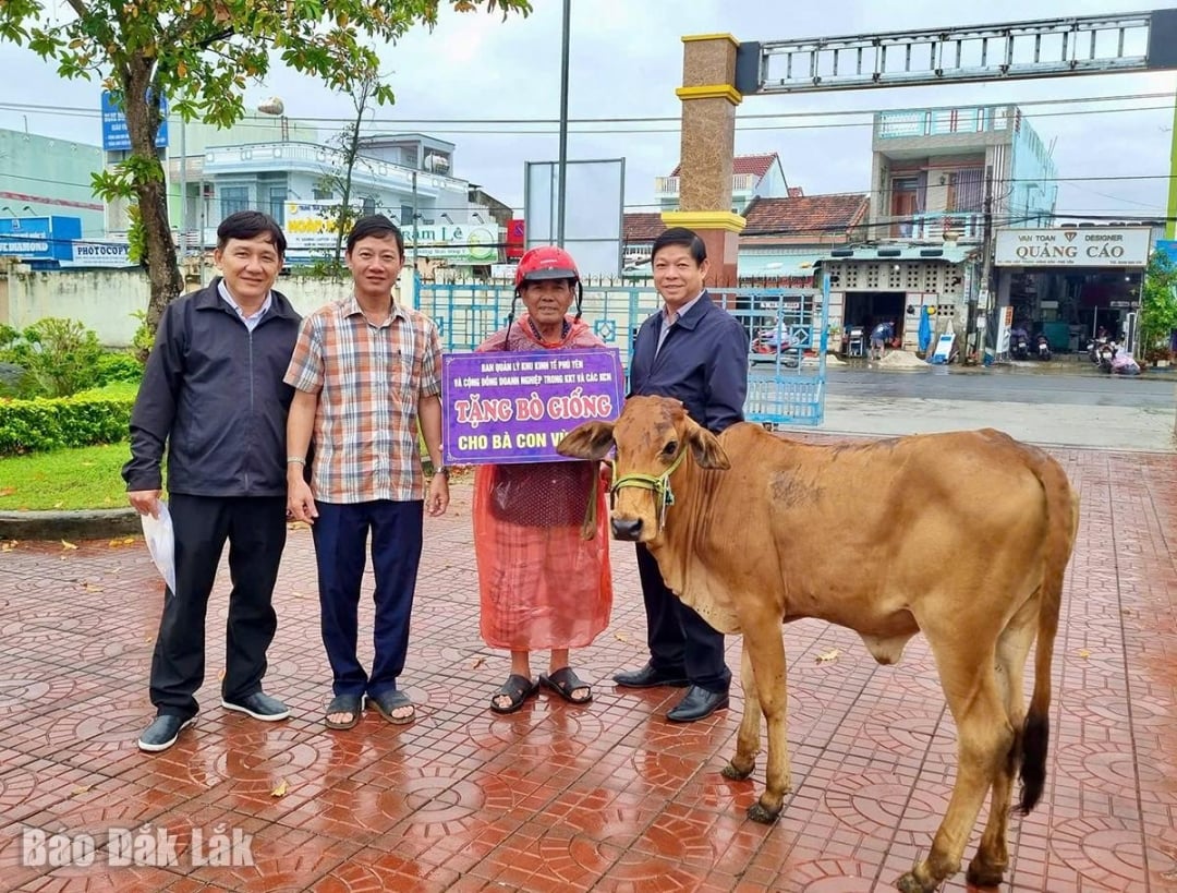 Herr Phan Ngoc Thanh, biträdande direktör för Phu Yens ekonomiska zons förvaltningsstyrelse, presenterade avelskor för hushållen kl.