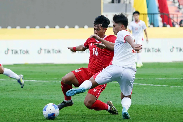 Việt Nam - Ảnh 1.