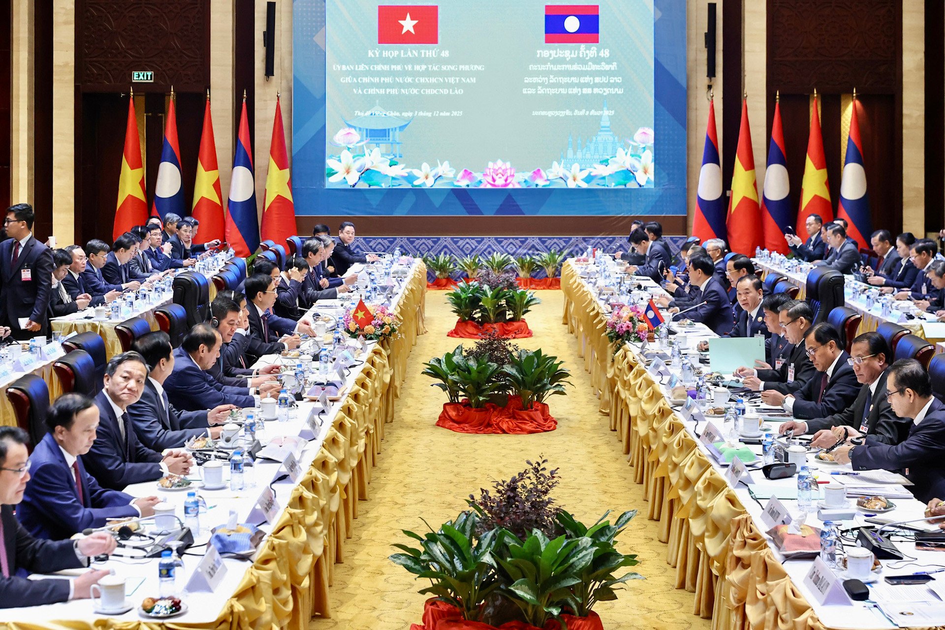 img6381 1764736889361118103276.jpg