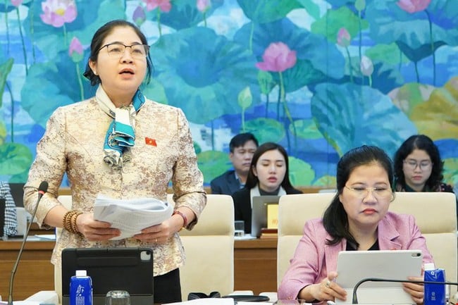 Chương trình Mục tiêu quốc gia tích hợp: Đại biểu Quốc hội đề nghị xem xét chỉ tiêu số xã nghèo thoát nghèo đến năm 2030 - Ảnh 6.