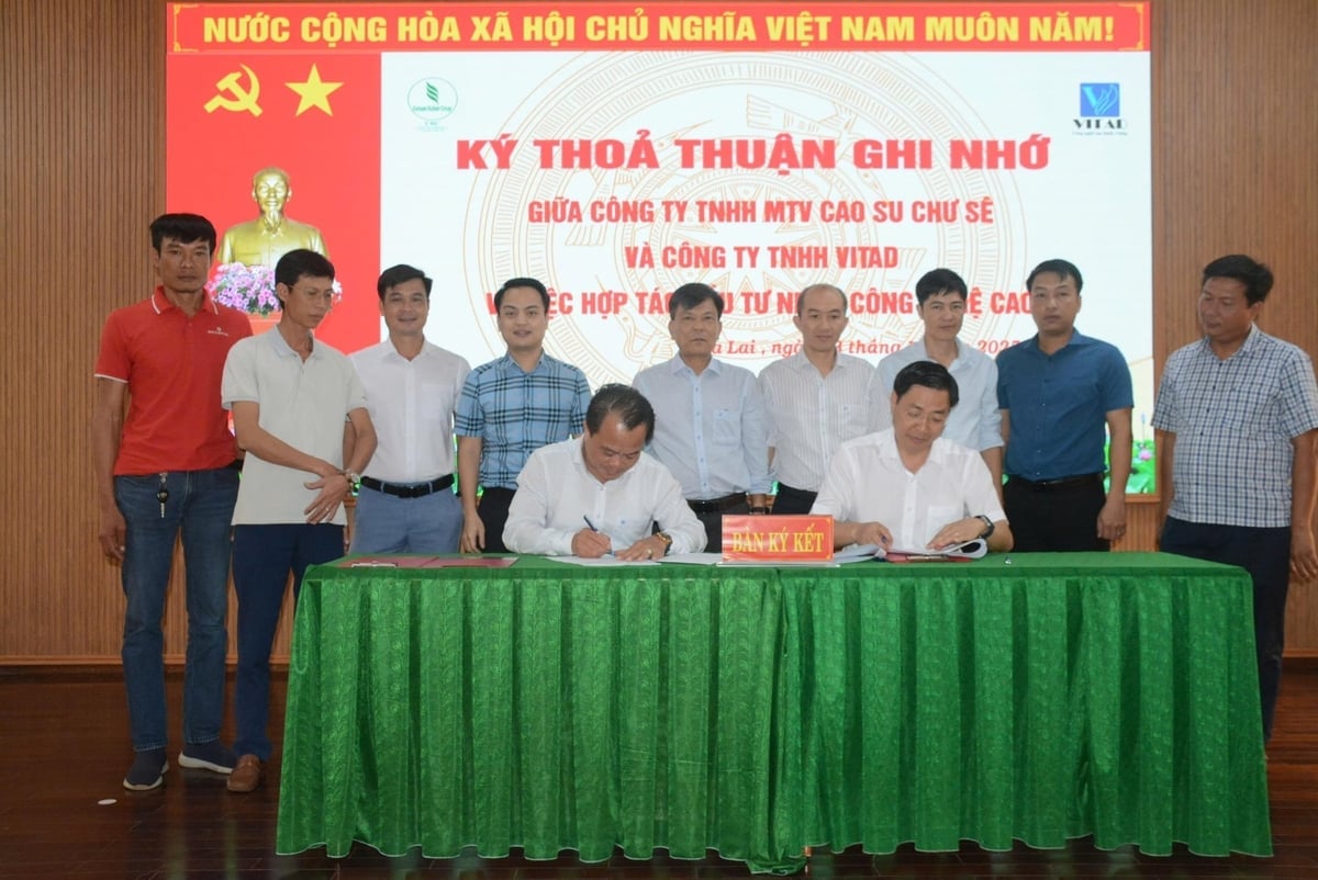 Lãnh đạo Công ty TNHH MTV Cao su Chư Sê và Công ty TNHH Vitad ký kết hợp tác. Ảnh: V.Đ.T.