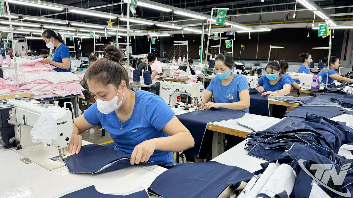 En los primeros 11 meses de 2025, la industria de la confección creció un 8,12% respecto al mismo período, el mayor incremento en los últimos 4 años.