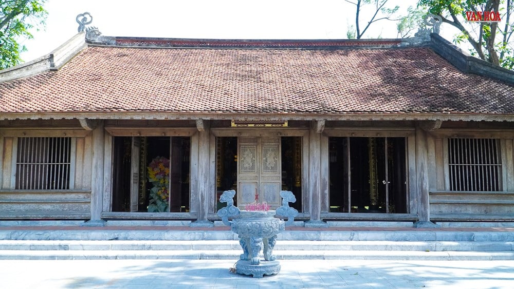 Story of two 300-year-old trees at Nguyen Du Relic Site - photo 1