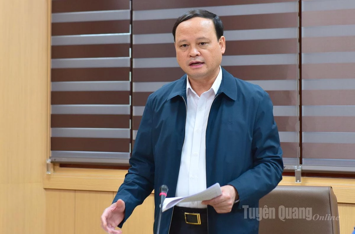 প্রাদেশিক পার্টি স্থায়ী কমিটির সদস্য, প্রাদেশিক পার্টি কমিটির উপ-সচিব, প্রাদেশিক পিপলস কমিটির স্থায়ী ভাইস চেয়ারম্যান কমরেড নগুয়েন মান তুয়ান পর্যালোচনা প্রতিবেদন এবং পার্টি স্থায়ী কমিটির স্ব-মূল্যায়ন এবং শ্রেণীবিভাগ নিয়ে আলোচনা করেছেন এবং মন্তব্য করেছেন।