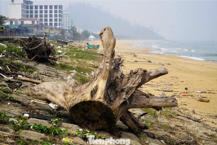 ឆ្នេរធៀនខេមពេញដោយសំរាម - ៨