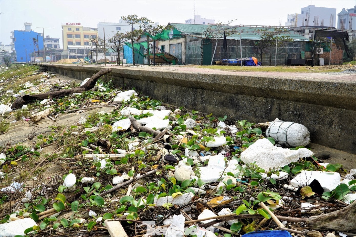 थिएन कैम समुद्र तट कूड़े से भरा है - 7