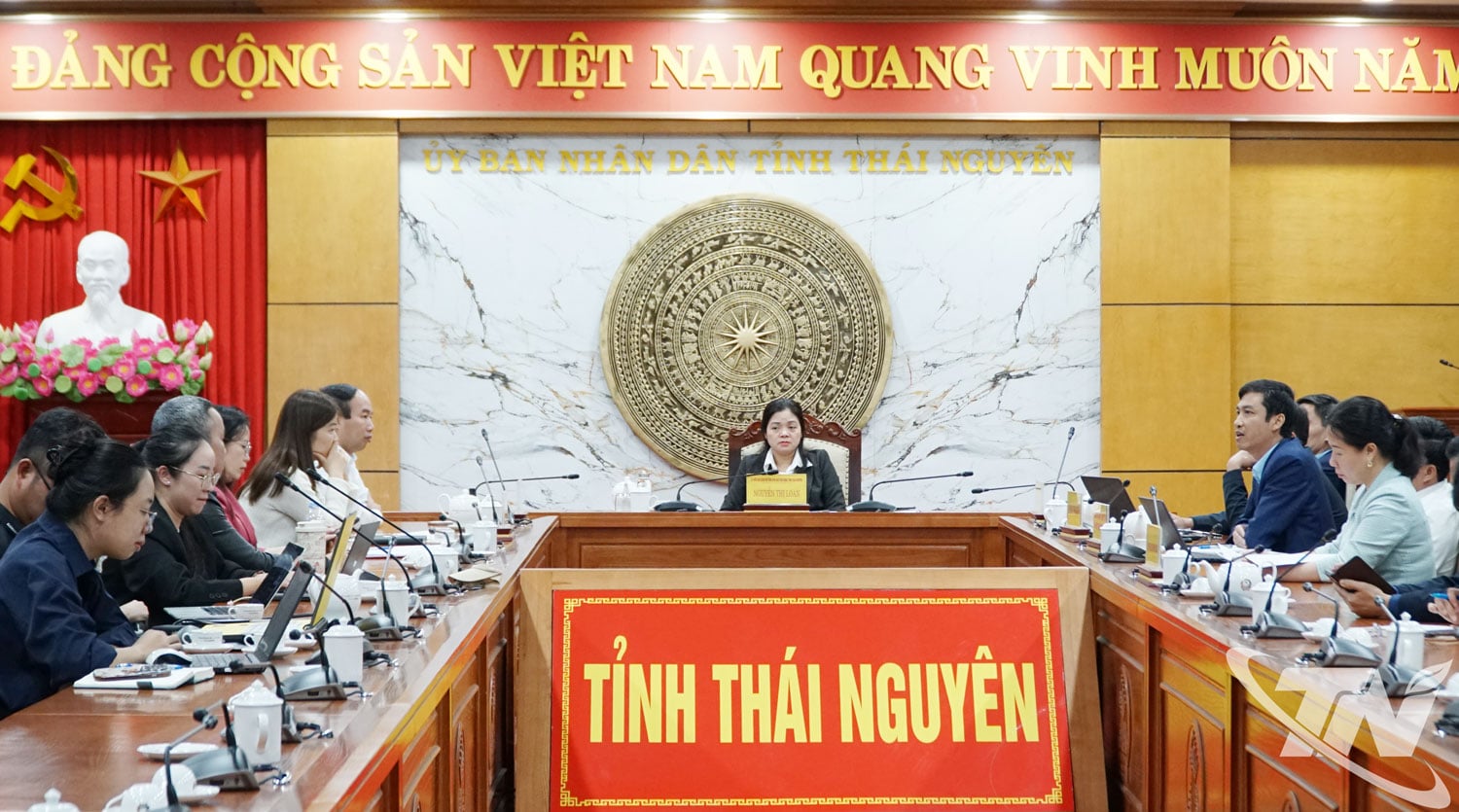 Wakil Ketua Komite Rakyat Provinsi Nguyen Thi Loan memimpin Konferensi.