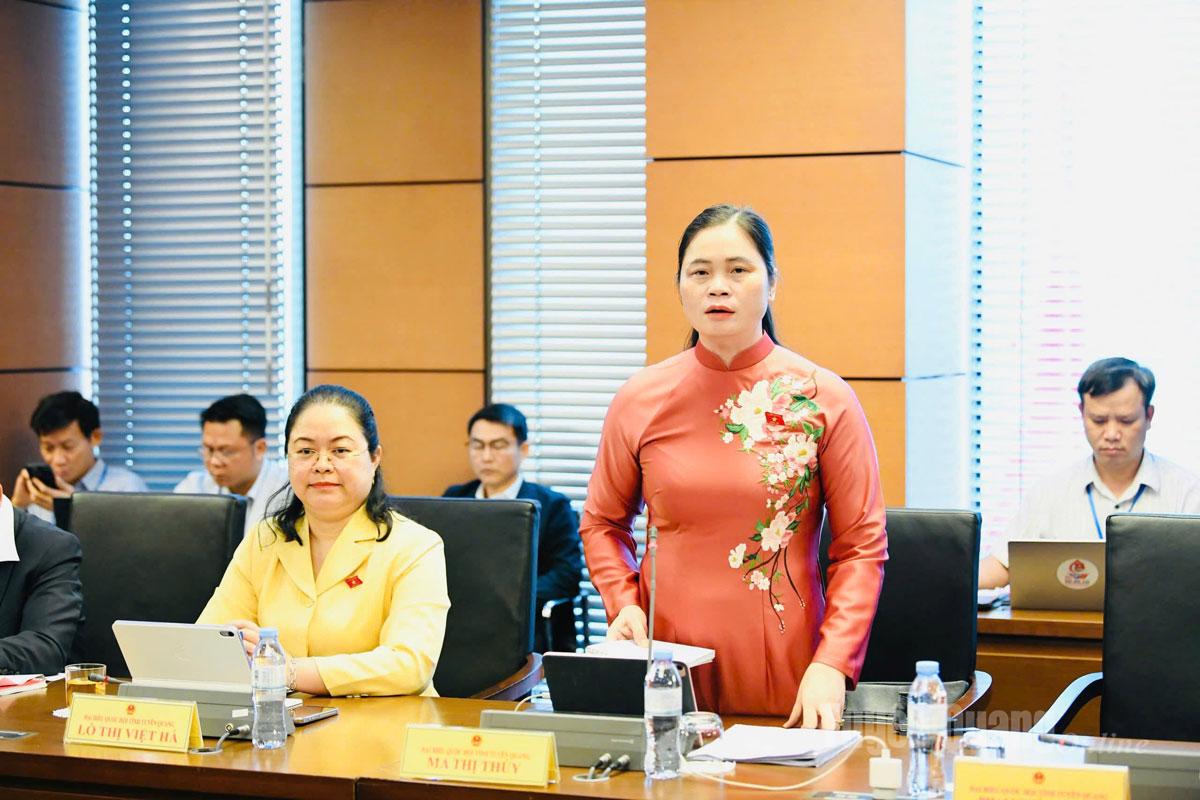 Delegat Ma Thi Thuy talte i diskusjonen.