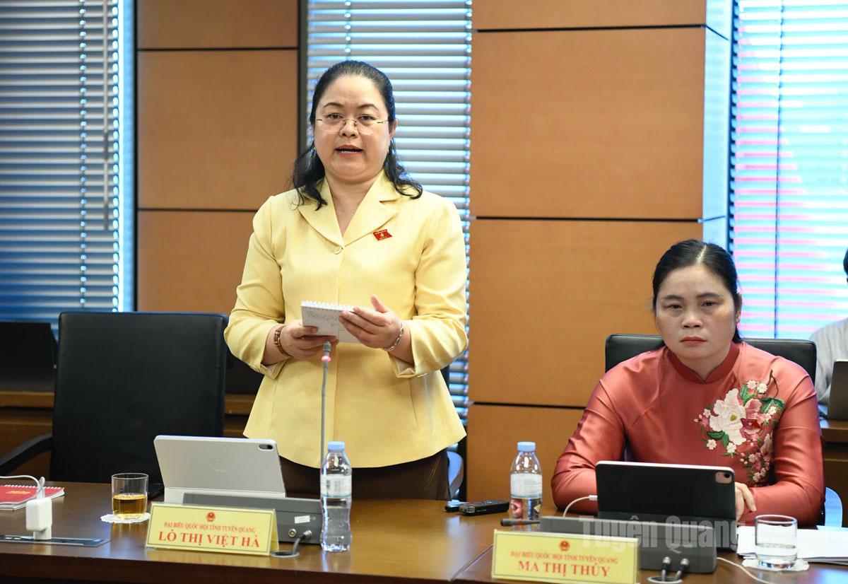 Delegat Lo Thi Viet Ha talte i diskusjonen.