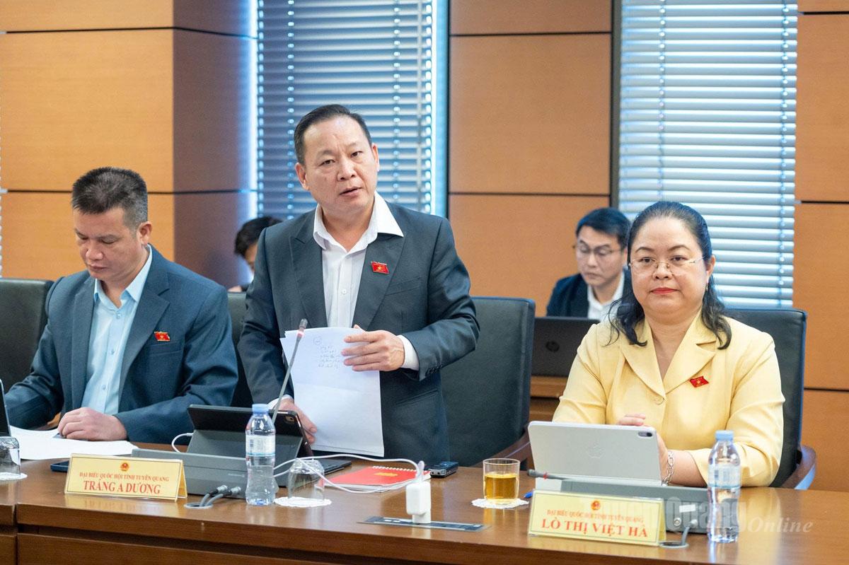 Delegat Trang A Duong talte i diskusjonen.