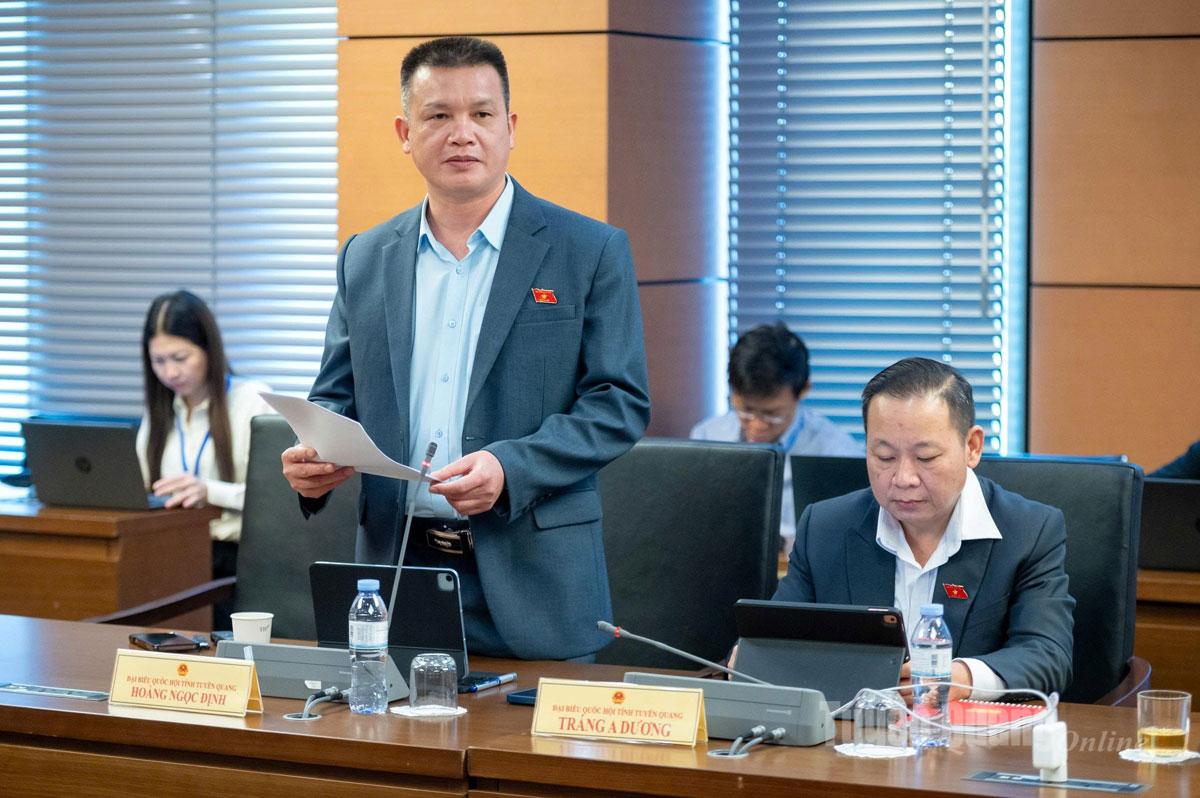 Delegat Hoang Ngoc Dinh talte i diskusjonen.