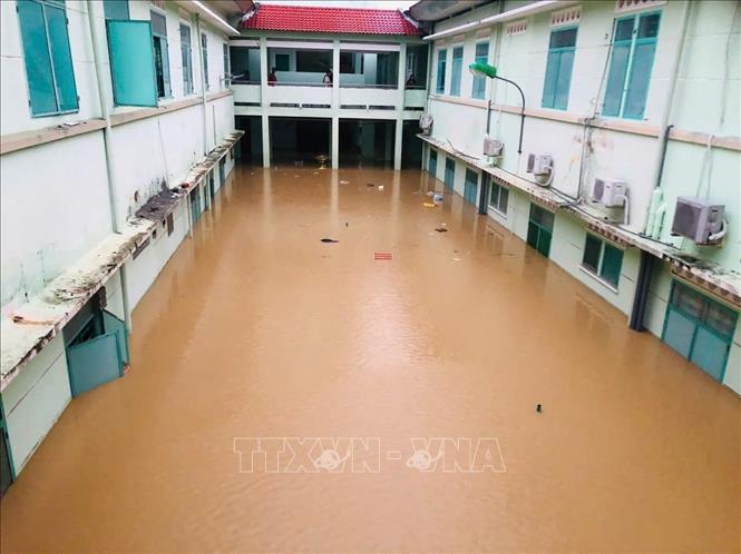 تعليق الصورة