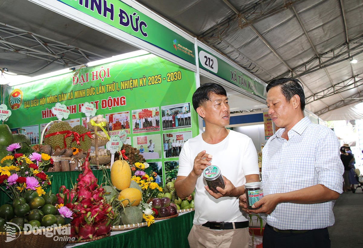 Lokala produktfrämjande aktiviteter på Dong Nai-provinsens jordbruksutställning 2025. Foto: Hai Quan