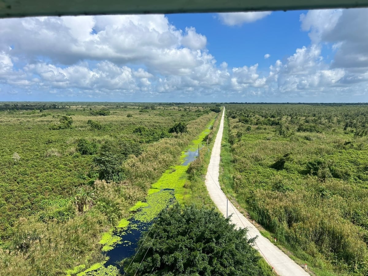 Khu vực Vườn Quốc gia U Minh Hạ. Ảnh: Trọng Linh.