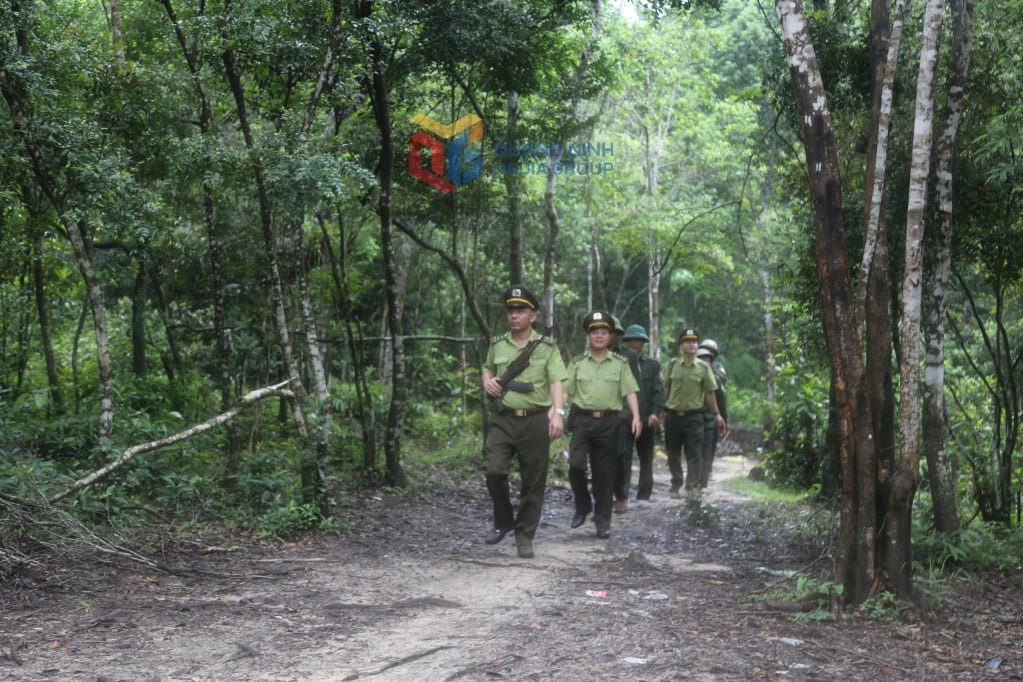 Skogvernpatruljestyrke