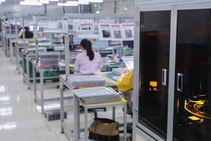 nghỉ tết - Ảnh 2.