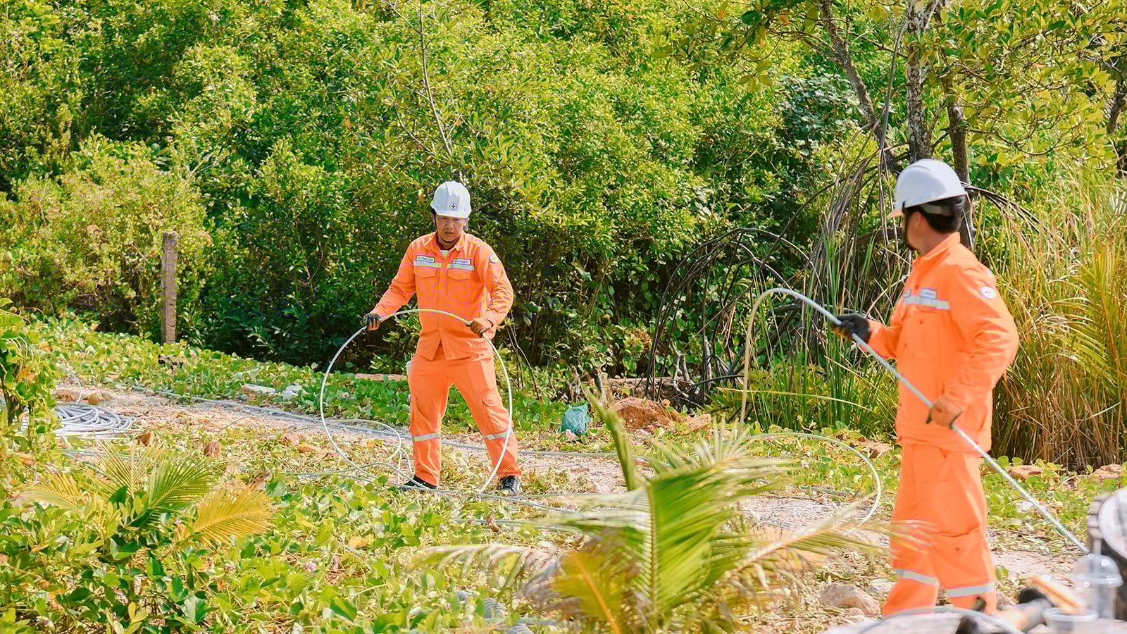 আন গিয়াং ১১০ কেভি ভূগর্ভস্থ তারের সমস্যা সমাধানের চেষ্টা করছেন হা তিয়েন - ফু কোক