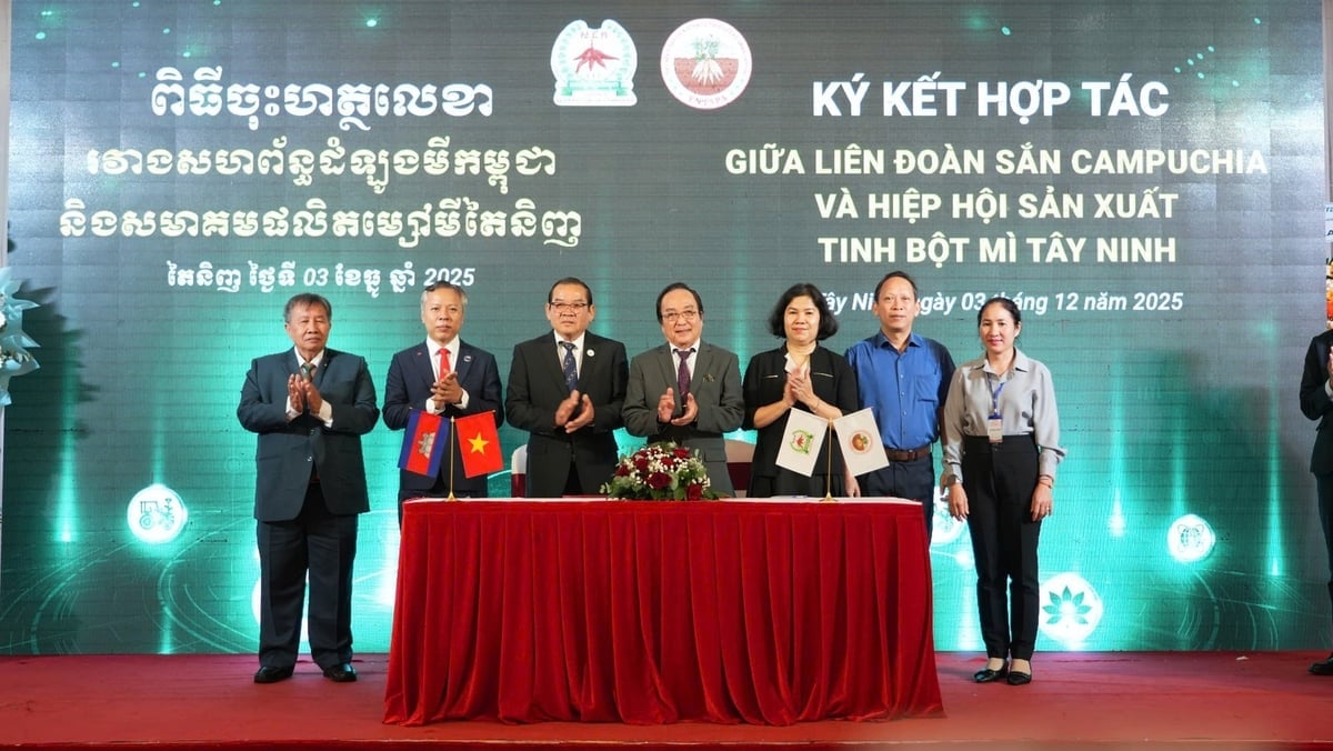 Bắt tay chiến lược giữa Liên đoàn Sắn Campuchia và Hiệp Hội Sản xuất tinh bột mì Tây Ninh nâng tầm giá trị sắn khu vực. Ảnh: Trần Trung.