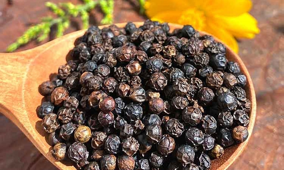 ລາຄາໝາກພິກໄທມື້ນີ້ ວັນທີ 4 ທັນວາ 2025: ການສົ່ງອອກບັນລຸ 1,5 ຕື້ USD