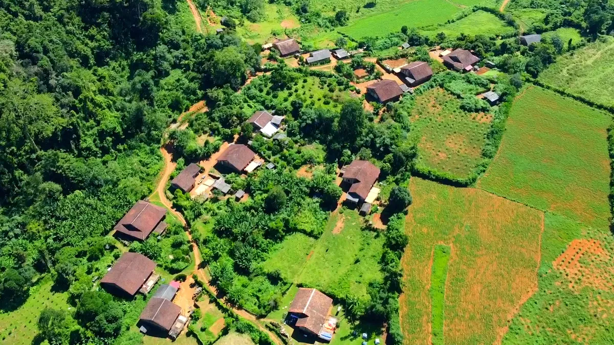 Nghệ thuật từ hạt ngô: Khi nông sản Lân Nóng