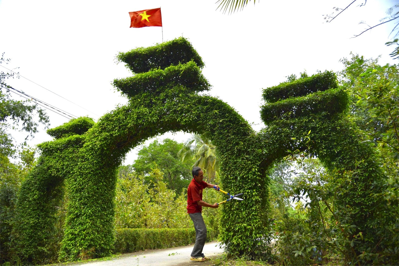 „Povestitorul” copacilor și frunzelor