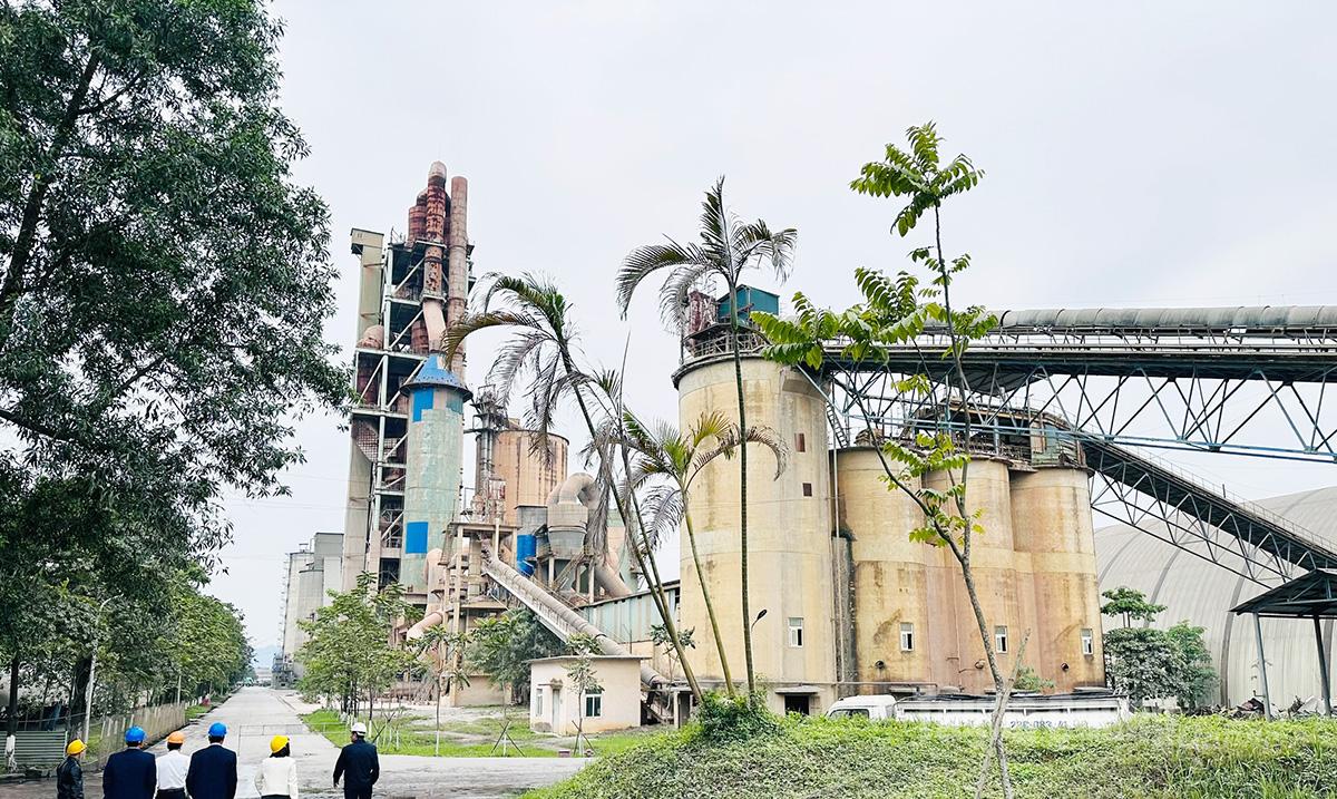 Fabryka cementu Tang Quang.