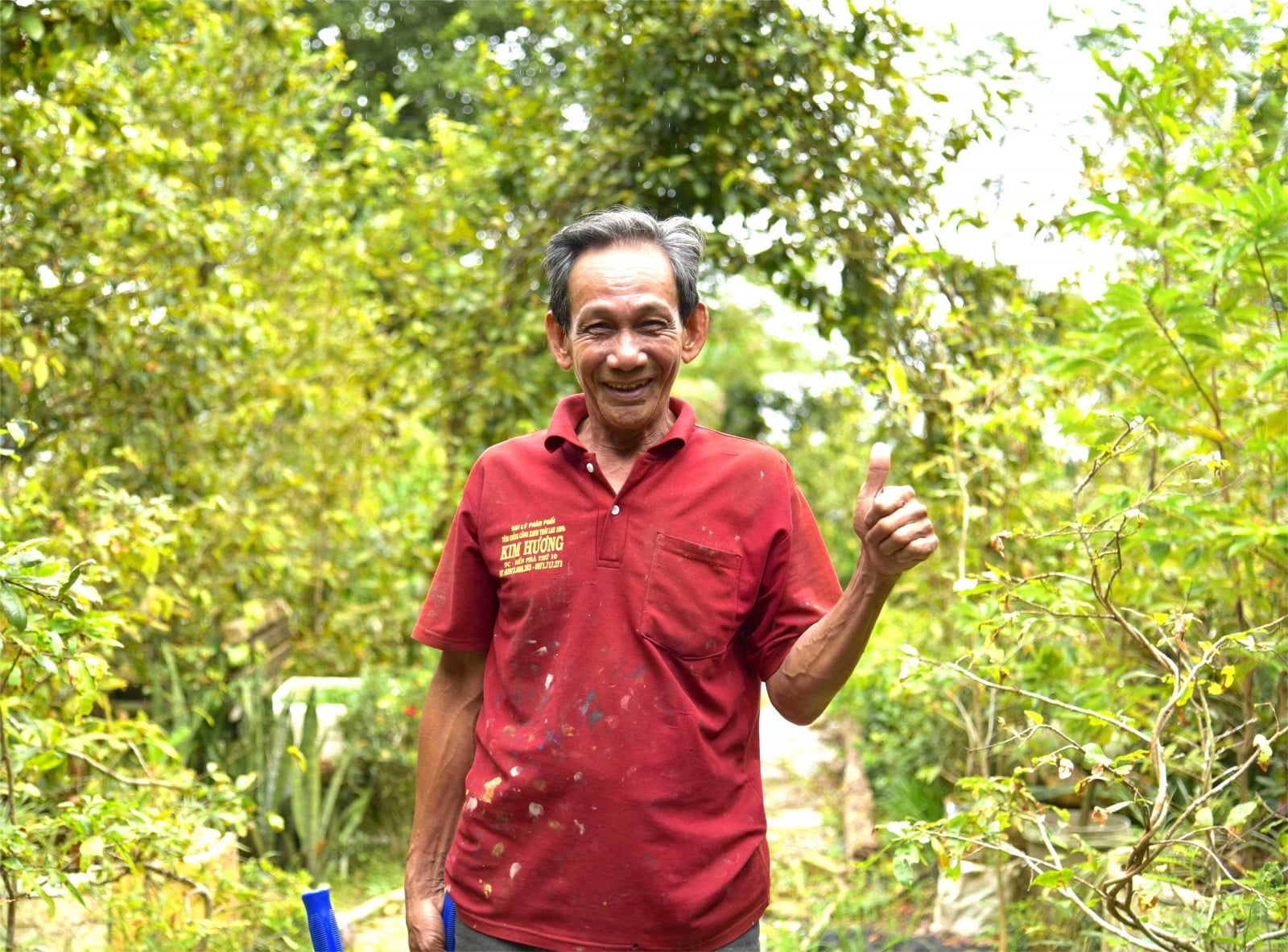 „Povestitorul” copacilor și frunzelor