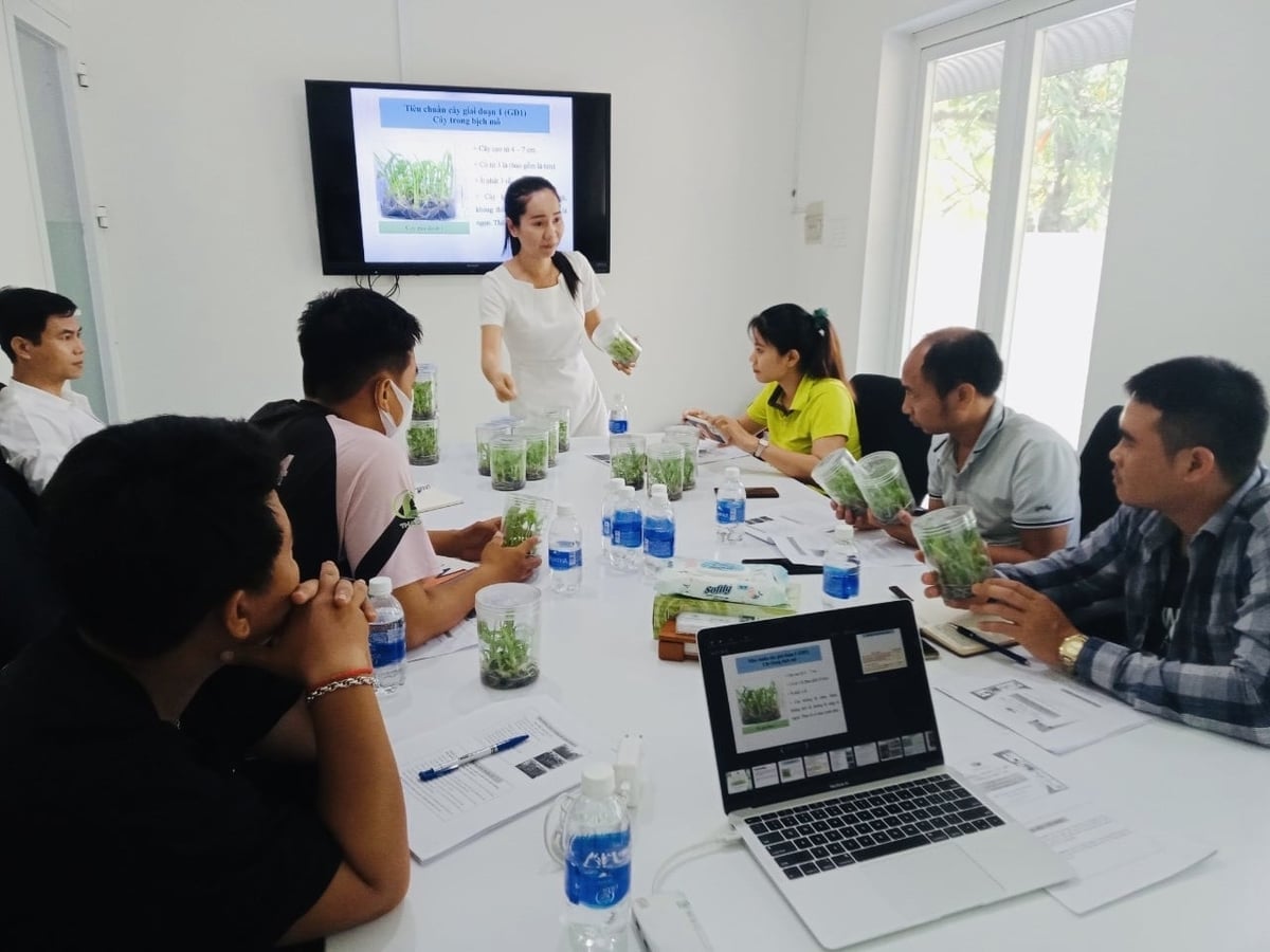 Nhiều nông dân tại Đồng Nai đã học cách theo dõi giá cả thị trường xuất khẩu, nắm lịch xuất hàng, tiêu chuẩn kỹ thuật canh tác. Ảnh: Trần Trung.